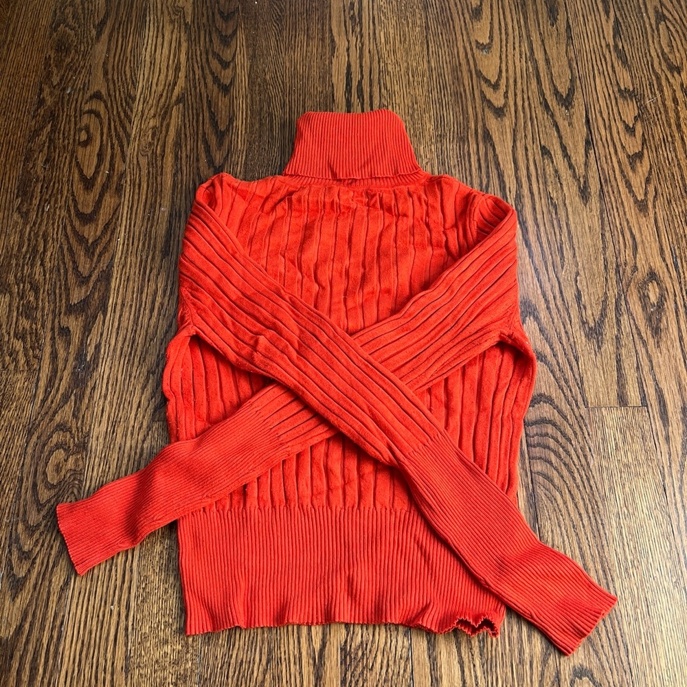 Zara Crop top. Long sleeve, turtle neck. Like new.
